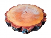 Полезные изделия из сердца карпатских гор