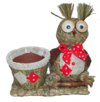 Подвазоннік сова