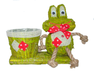 Подвазонник с лягушкой