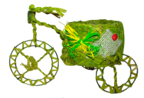 Подвазонник велосипед