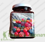 Лесные ягоды