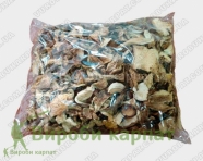 Белые грибы