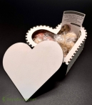 Коробочка с печеньем орешки 20шт